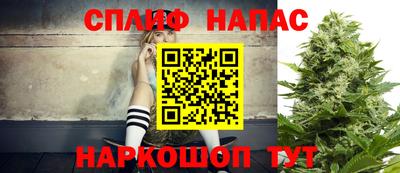 Альфа ПВП Гудермес