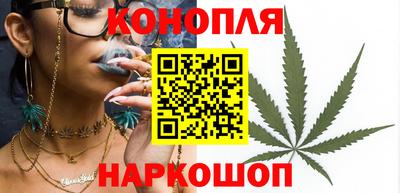 Альфа ПВП Гудермес