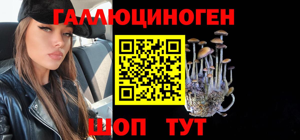 Псилоцибиновые грибы GOLDEN TEACHER  Вход с VPN  Зерноград 